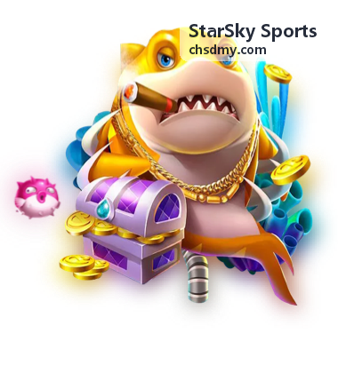 StarSky Sports 首页入口